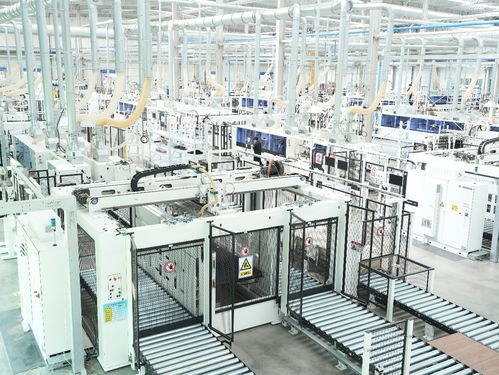 鳳觀齊魯2025 智造領航，鏈通世界——魯麗集團以新質生產力鍛造全球競爭力